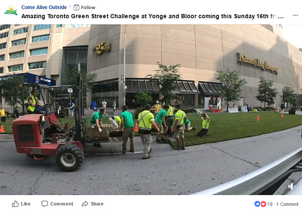 video of sod being laid down on a downtown street