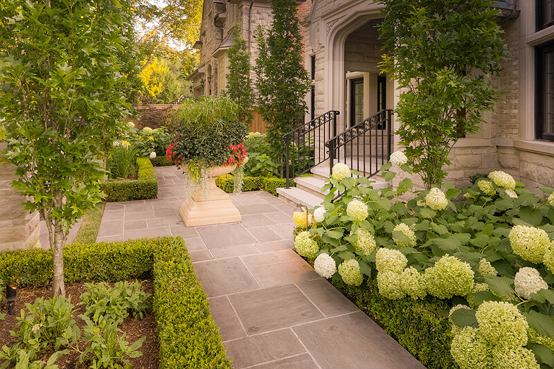 front garden path and plants