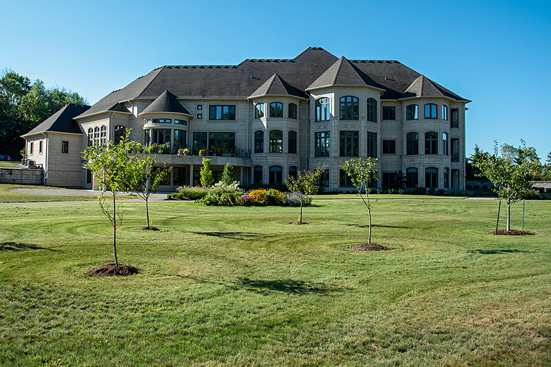 large open yard with grass and trees