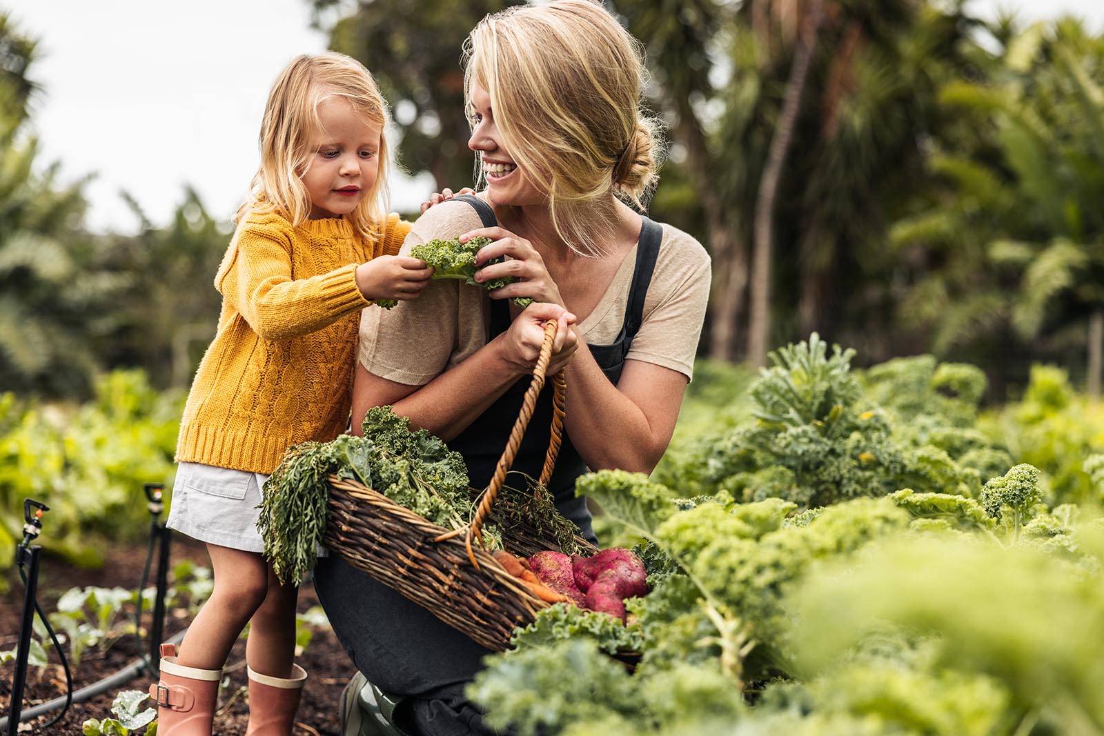 child and mother harvesting vegetables in the garden