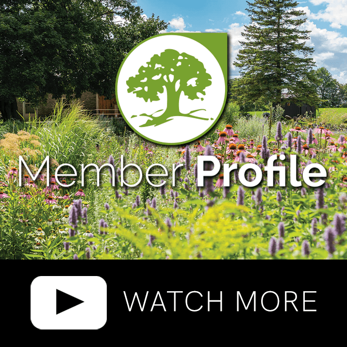 member profile. watch video online