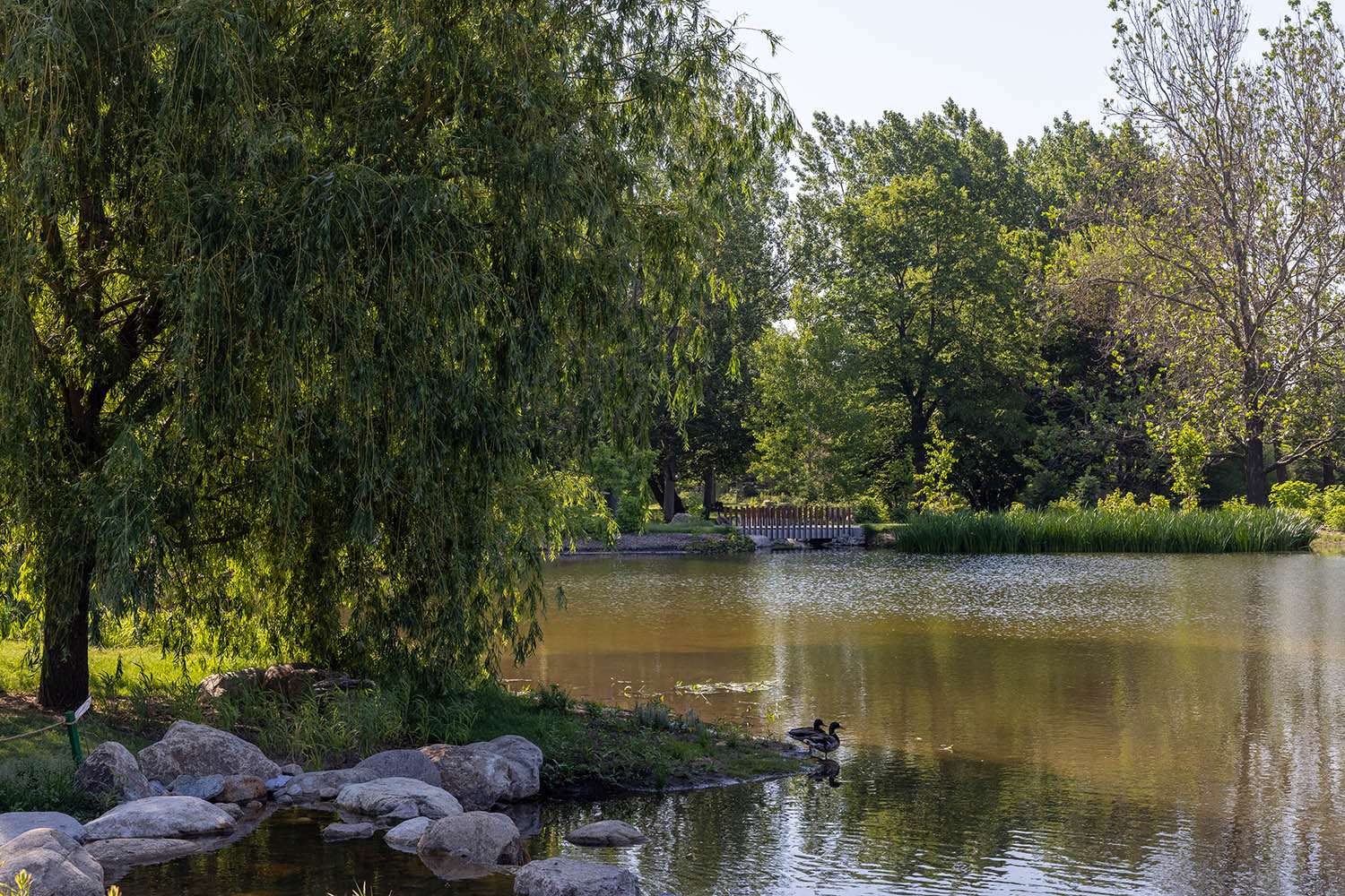 montreal botanical garden