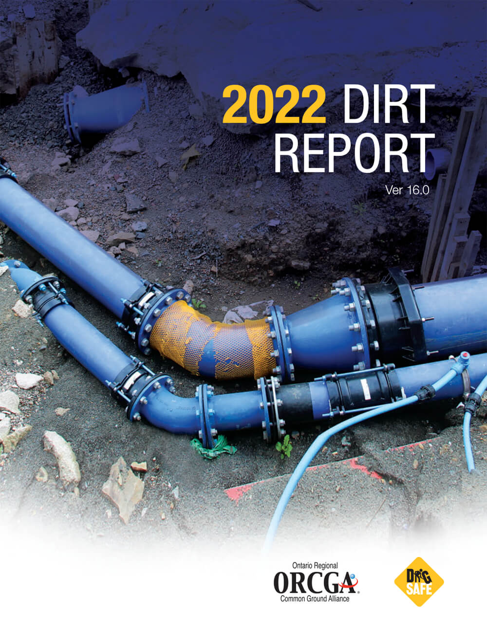 2022 DIRT Report