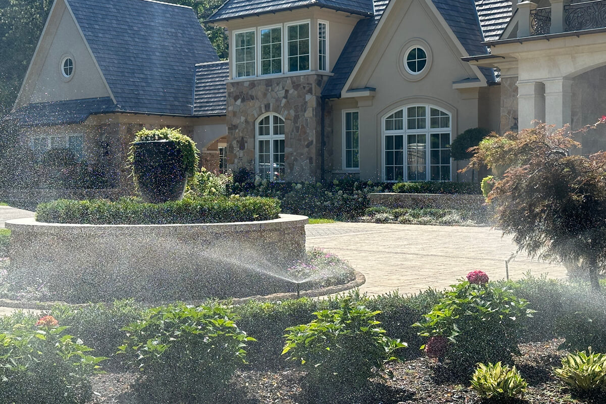 irrigation in a yard