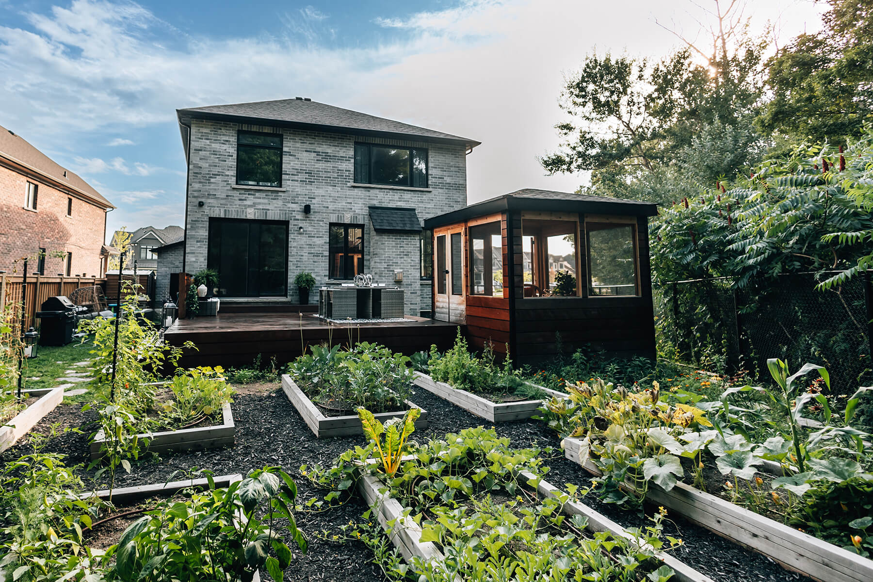 backyard vegetable garden