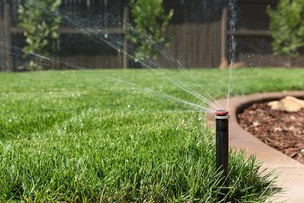 sprinker head on a lawn