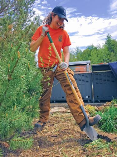 Woman raking