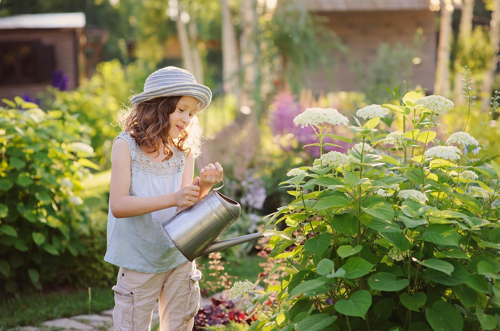 girl watreing hydrangeas